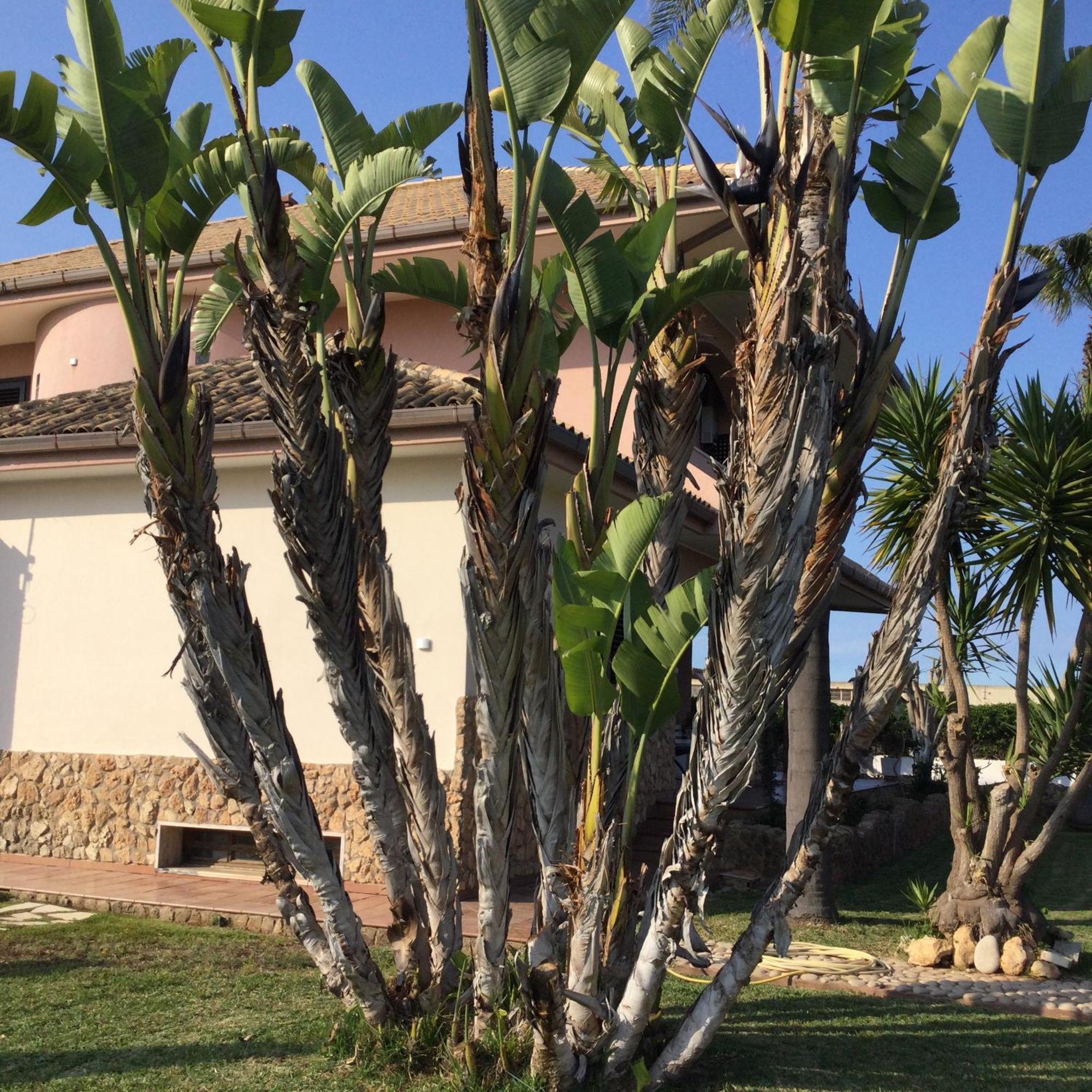 Sicilia Bella Cassibile